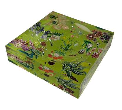 Flora Fauna Fontana Acrylic Candy Catchall Dish 6x6