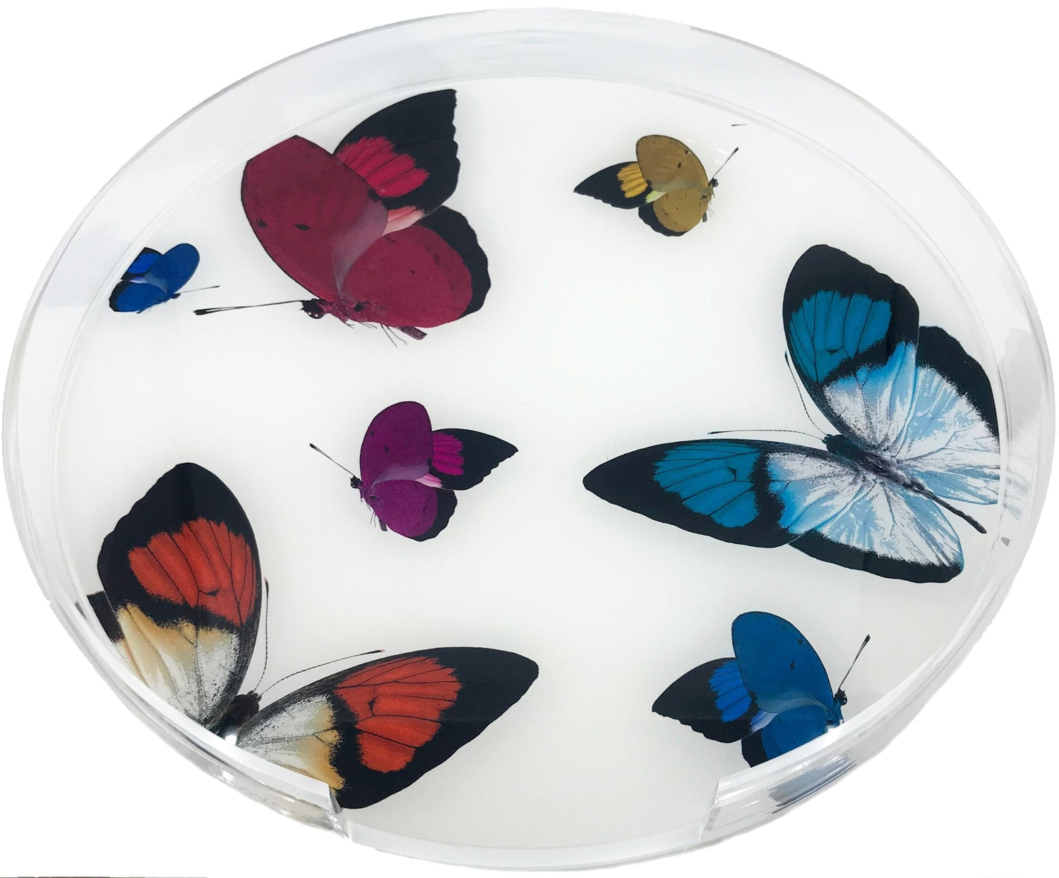 Butterflies Acrylic Round Tray for Placemats or Decorative Use, 16&quot; - nicolettemayer.com