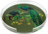 Family Pheasants Olive Acrylic Round Tray for Placemats or Decorative Use, 16" - nicolettemayer.com