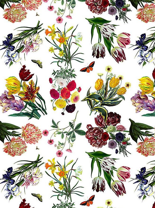 Flora &amp; Fauna White Wallpaper - nicolettemayer.com