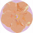 Hibiscus Lilac 16" Round Pebble Placemat Set of 4 - nicolettemayer.com