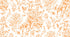 Kerala Tangerine Peel and Stick Wallpaper, Double Roll, 34" x 288", 48 sq ft - nicolettemayer.com