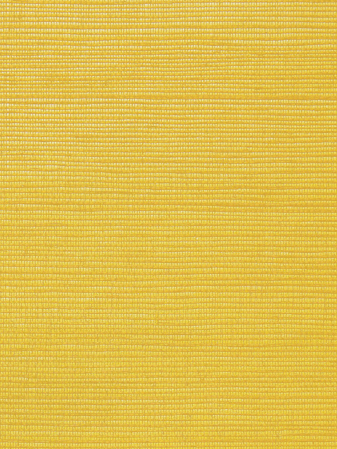 Metallica Grasscloth Anjou Pear, Per Yard - nicolettemayer.com