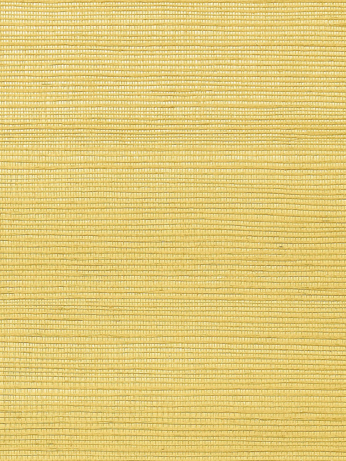 Metallica Grasscloth Cantaloupe, Per Yard - nicolettemayer.com