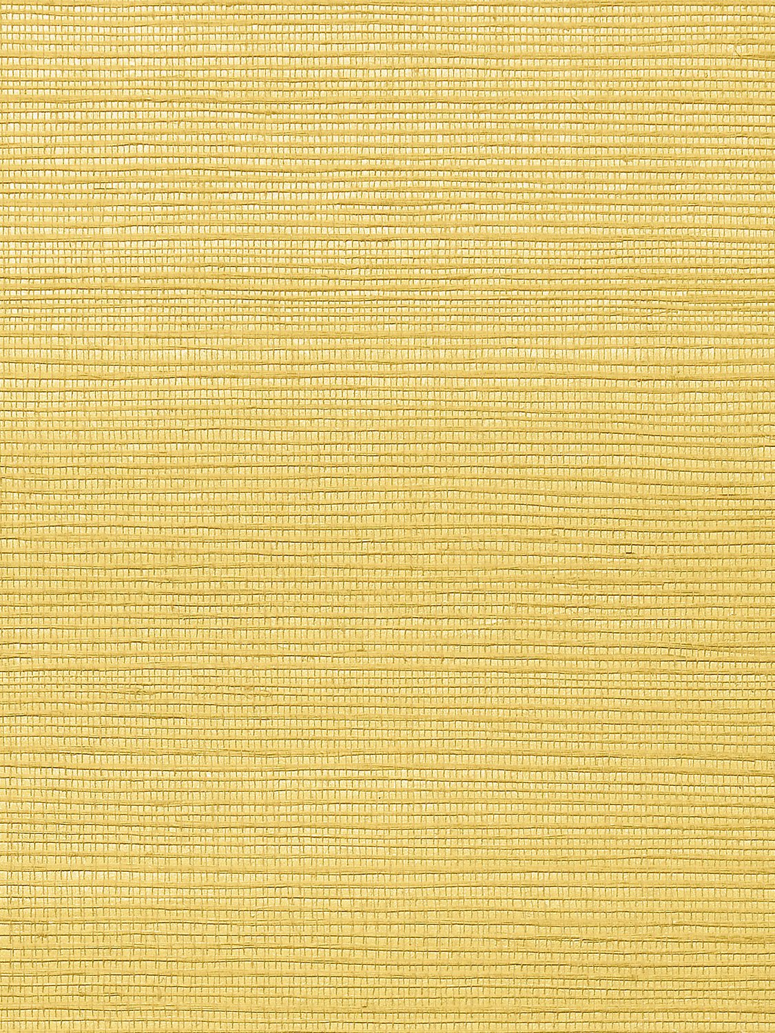 Metallica Grasscloth Cantaloupe, Per Yard - nicolettemayer.com