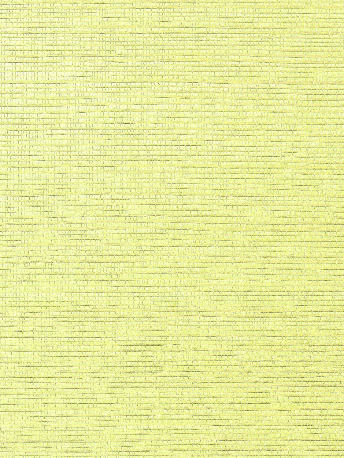 Metallica Grasscloth Celery, Per Yard - nicolettemayer.com