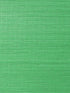 Metallica Grasscloth Emerald, Per Yard - nicolettemayer.com