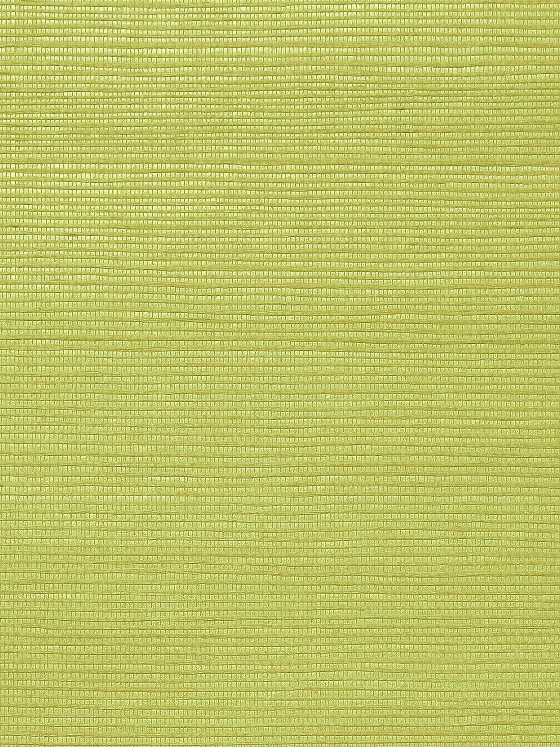 Metallica Grasscloth Fennel Seed, Per Yard - nicolettemayer.com