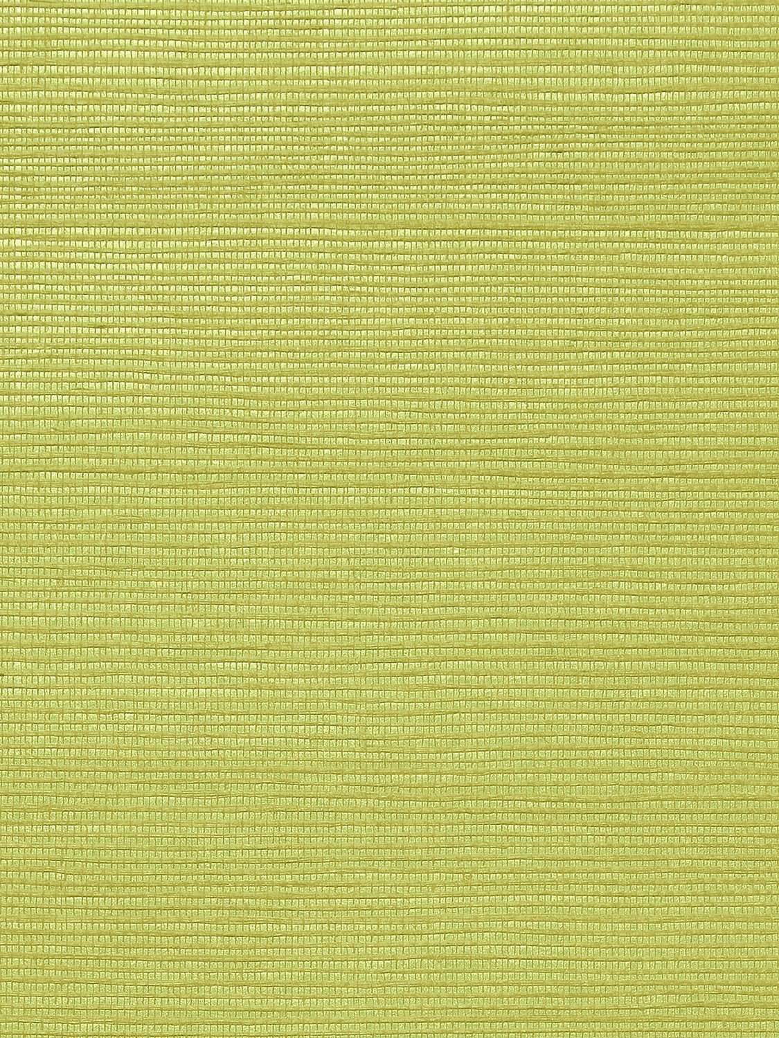 Metallica Grasscloth Fennel Seed, Per Yard - nicolettemayer.com