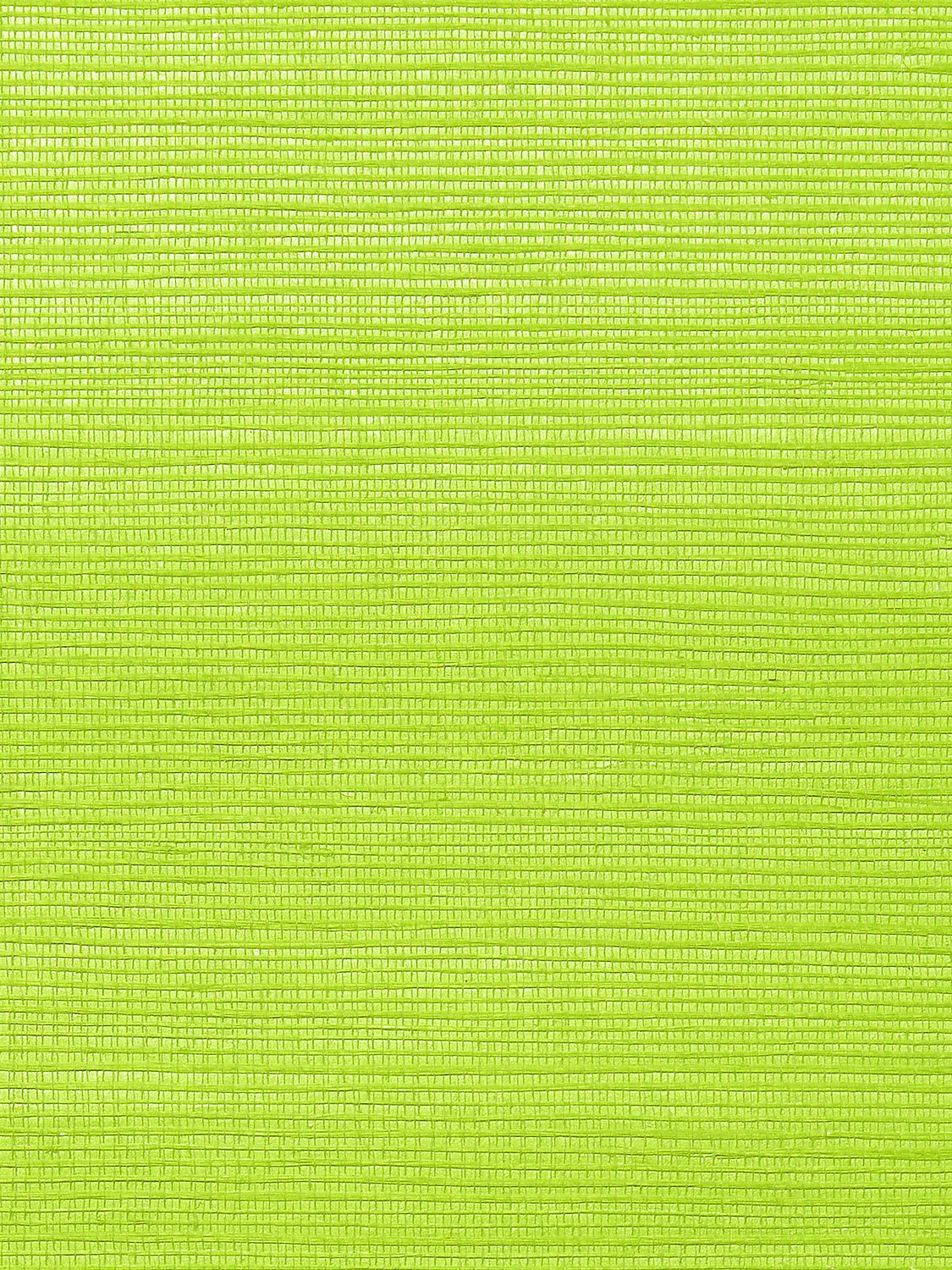 Metallica Grasscloth Kiwi, Per Yard - nicolettemayer.com