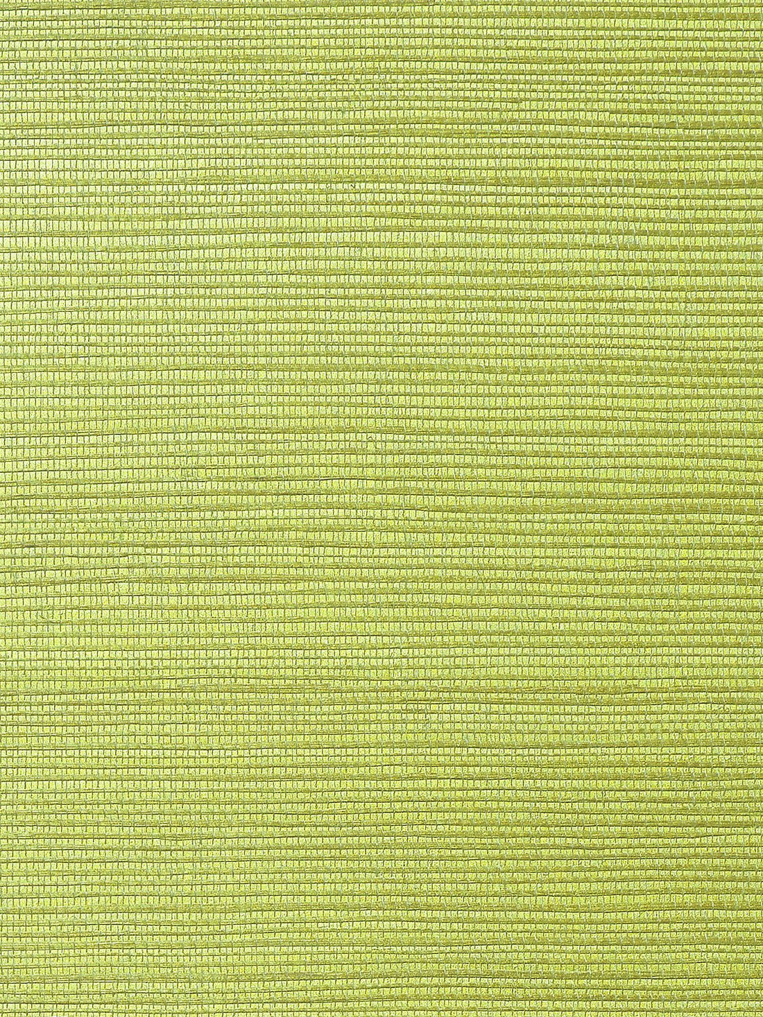 Metallica Grasscloth Moss Green, Per Yard - nicolettemayer.com