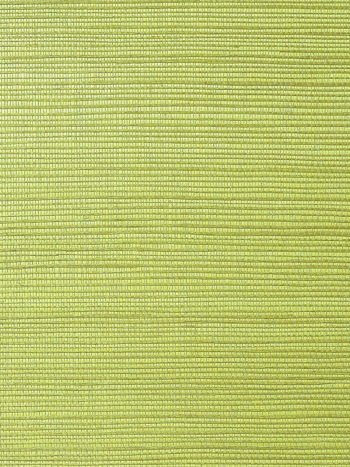 Metallica Grasscloth Moss Green, Per Yard - nicolettemayer.com