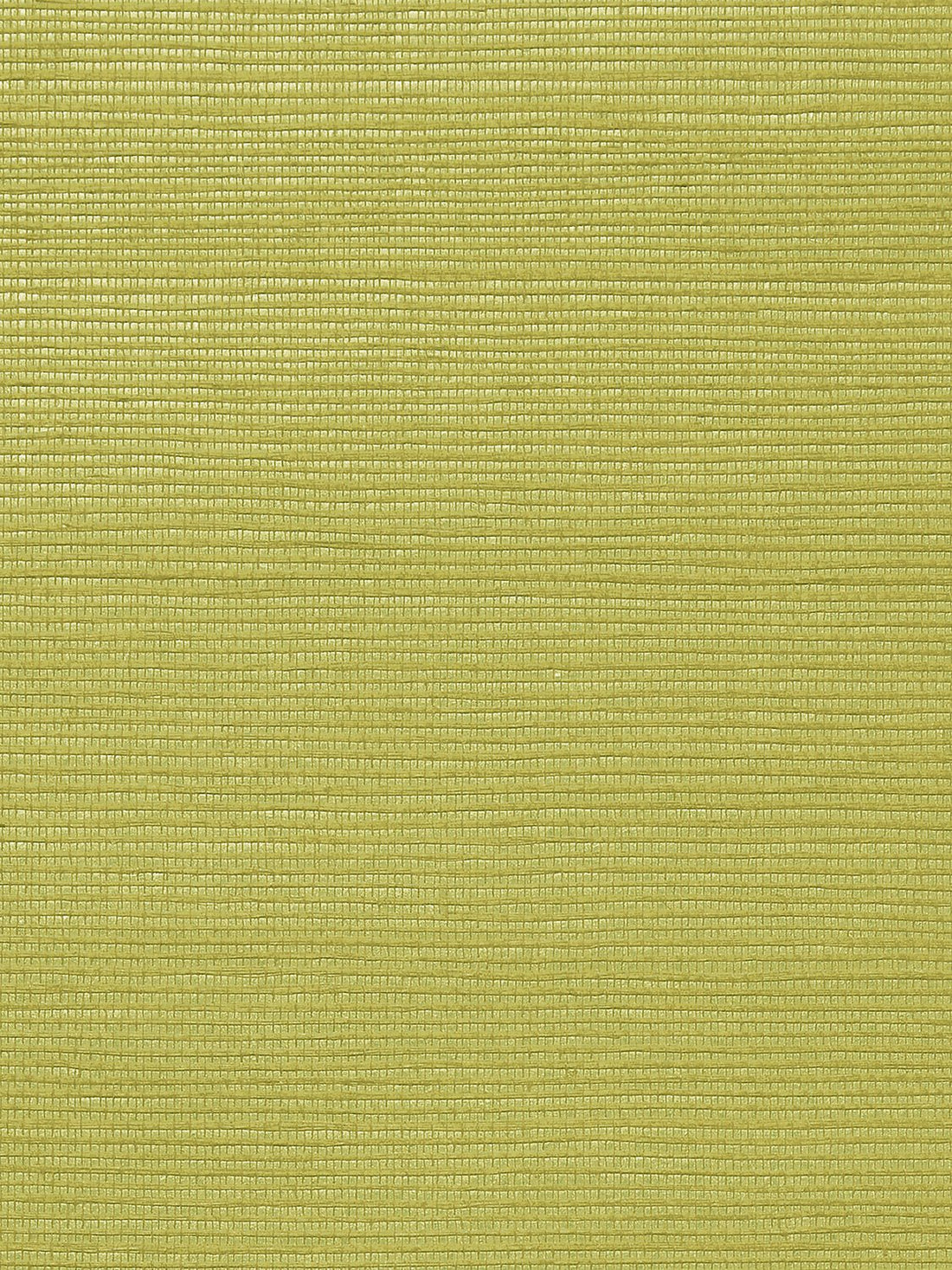 Metallica Grasscloth Olive Green Neutral, Per Yard - nicolettemayer.com