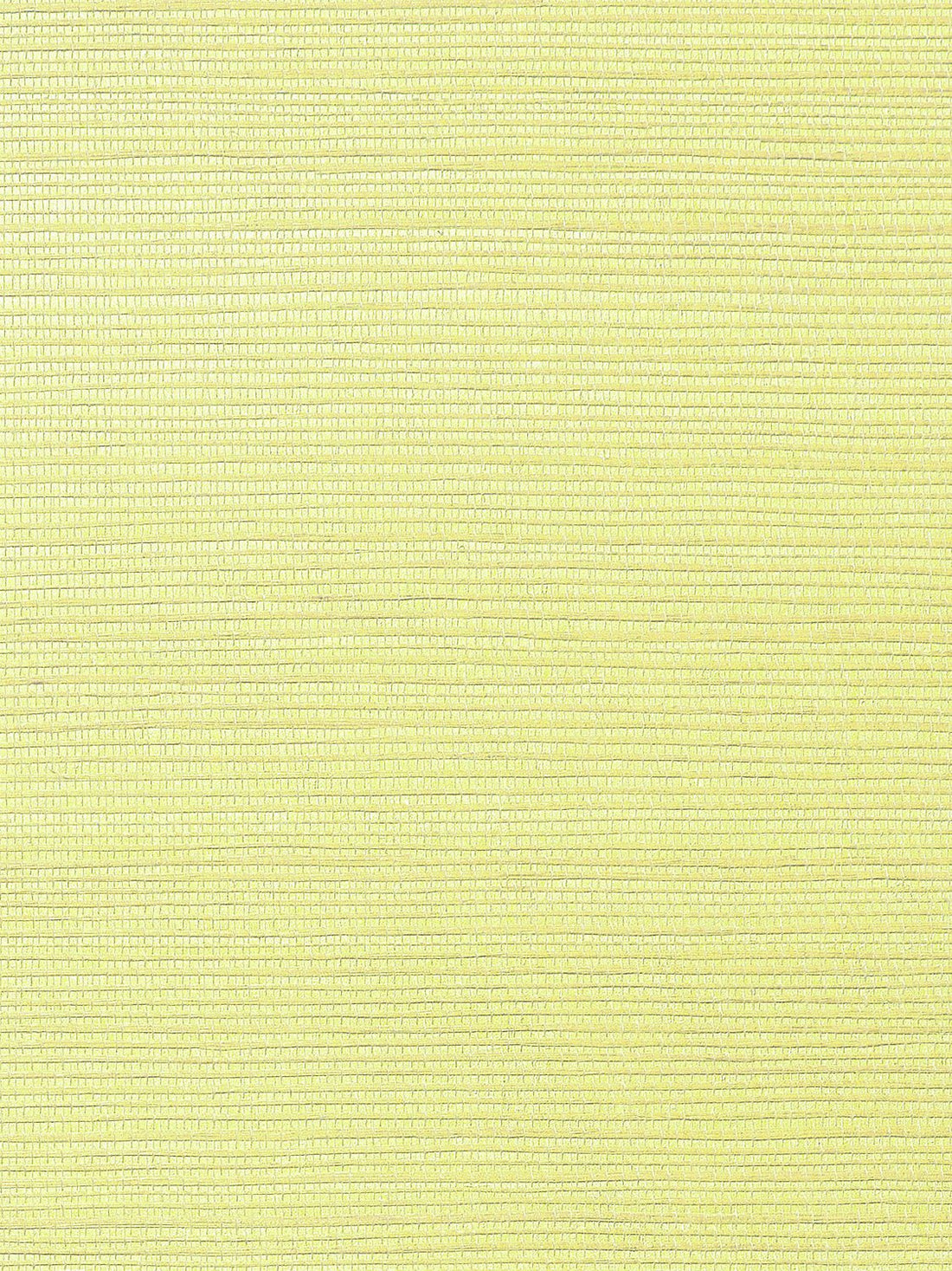 Metallica Grasscloth Pale Yellow, Per Yard - nicolettemayer.com