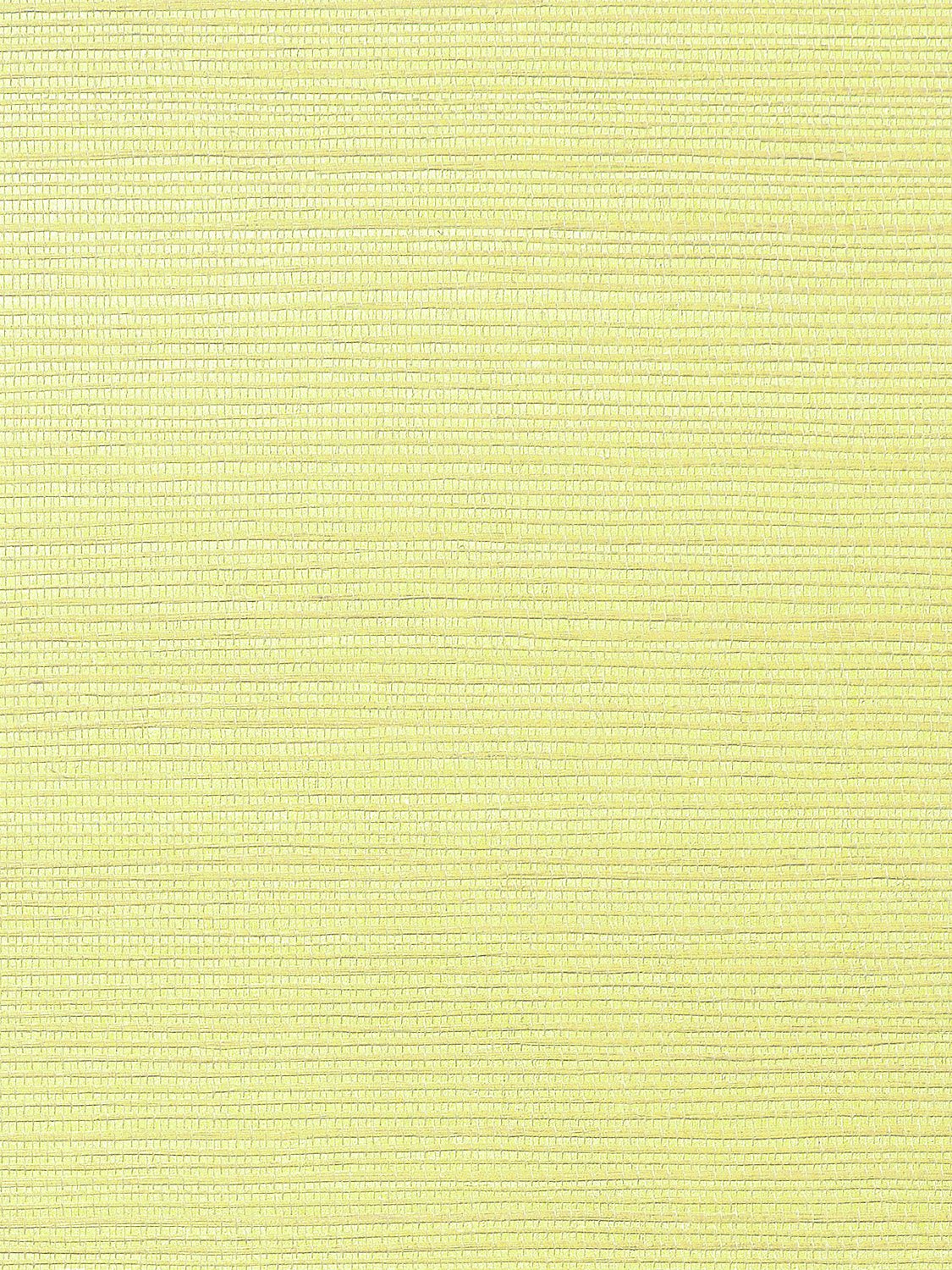Metallica Grasscloth Pale Yellow, Per Yard - nicolettemayer.com
