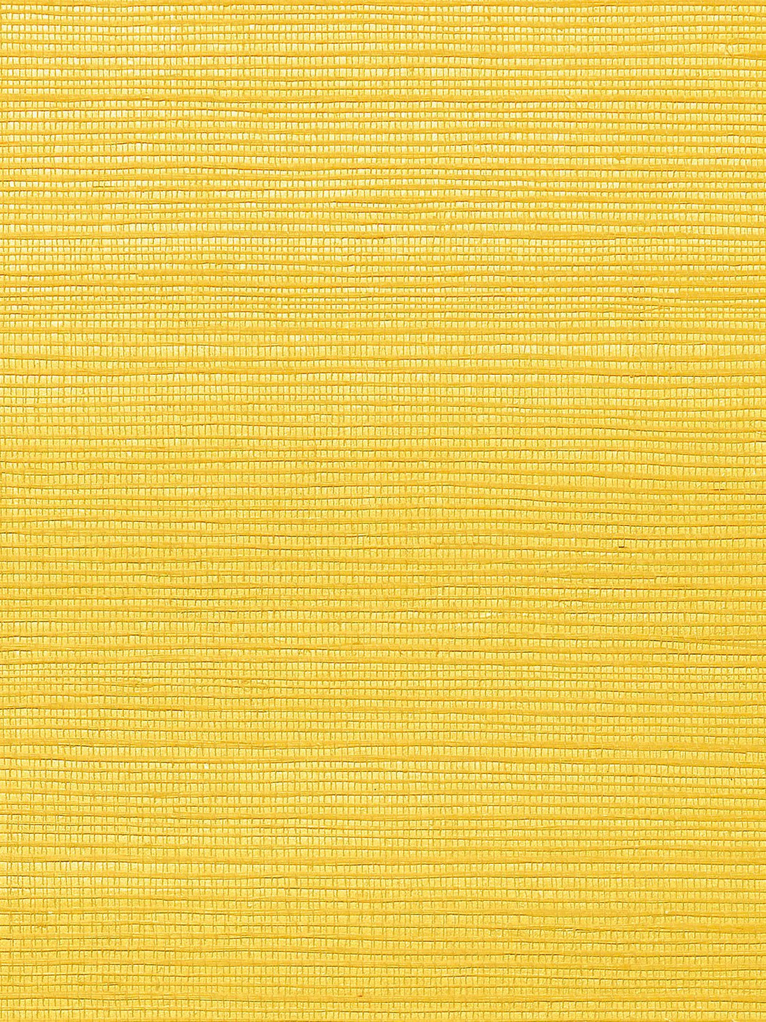 Metallica Grasscloth Papaya, Per Yard - nicolettemayer.com