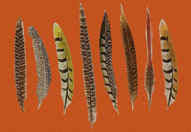 Pheasant Feathers Orange 17.5 &quot;x12&quot; Rectangle Pebble Placemats, Set of 4 - nicolettemayer.com