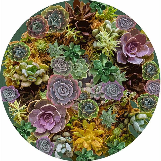 Succulents Evergreen 16&quot; Round Pebble Placemat Set of 4 - nicolettemayer.com