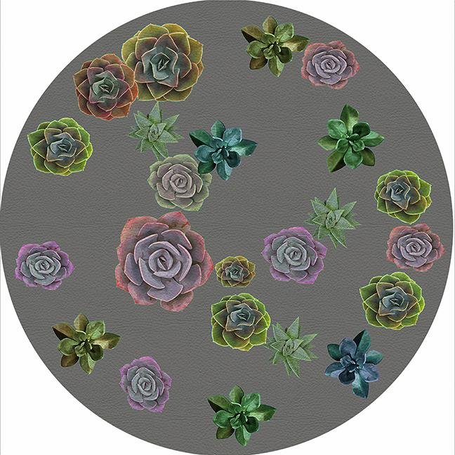 Succulents Floating Gray 16&quot; Round Pebble Placemat Set of 4 - nicolettemayer.com