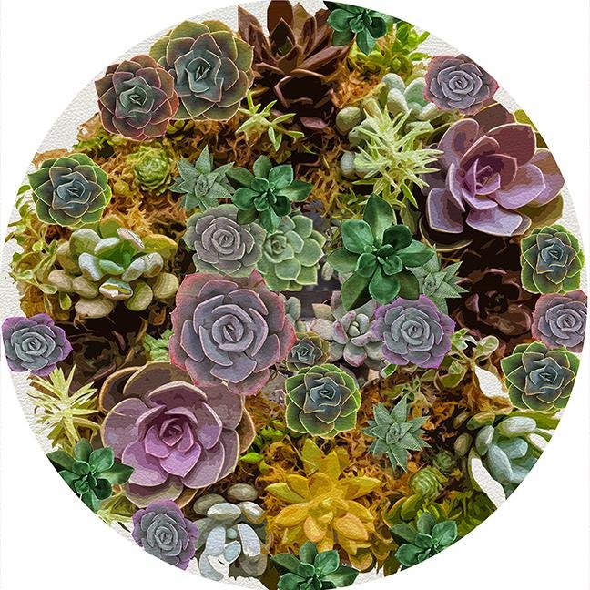 Succulents White 16&quot; Round Pebble Placemat Set of 4 - nicolettemayer.com