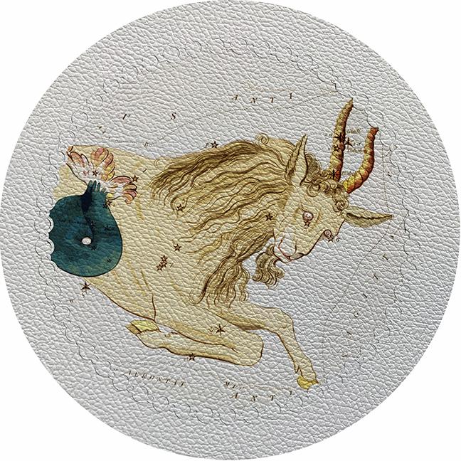 Zodiac Capricon White 16&quot; Round Pebble Placemat Set of 4 - nicolettemayer.com